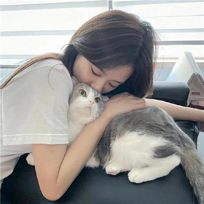 候鸟不再南飞